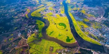 萬(wàn)眾期待，重慶潼南萬(wàn)畝油菜花海景區(qū)開(kāi)放，畢加帶你去看花節(jié)！