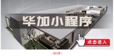畢加邂逅小“情人”，那就再愛一次吧