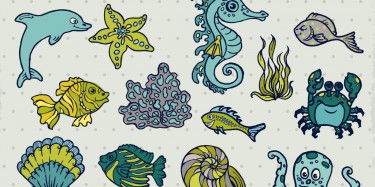 2016國(guó)際海洋科技展覽會(huì)將辦，展覽特裝公司期待指數(shù)爆棚！