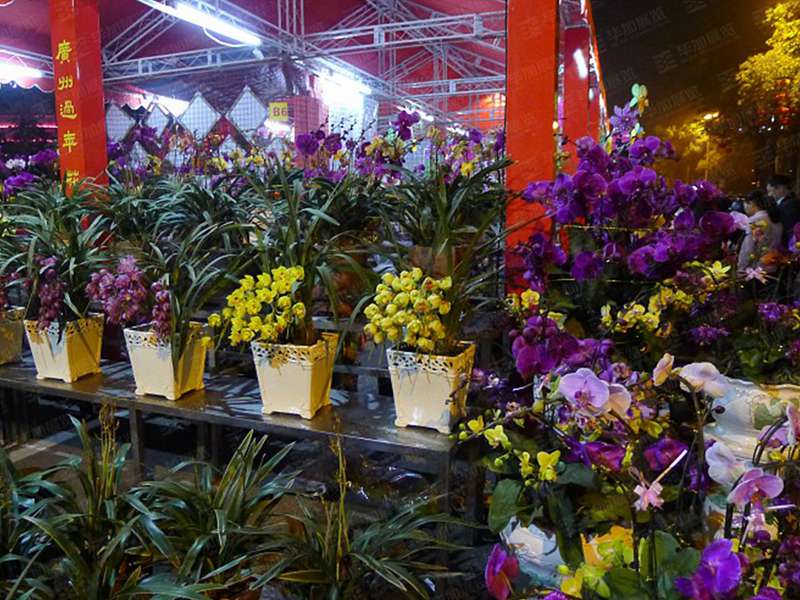 廣州蘿崗迎春花市搭建 廣州蘿崗迎春花市搭建